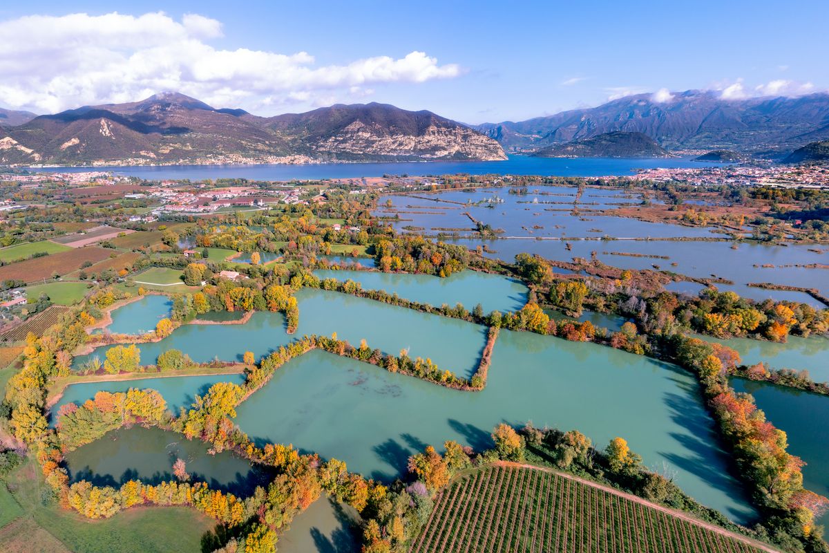 Italy(Torbiere del Sebino)