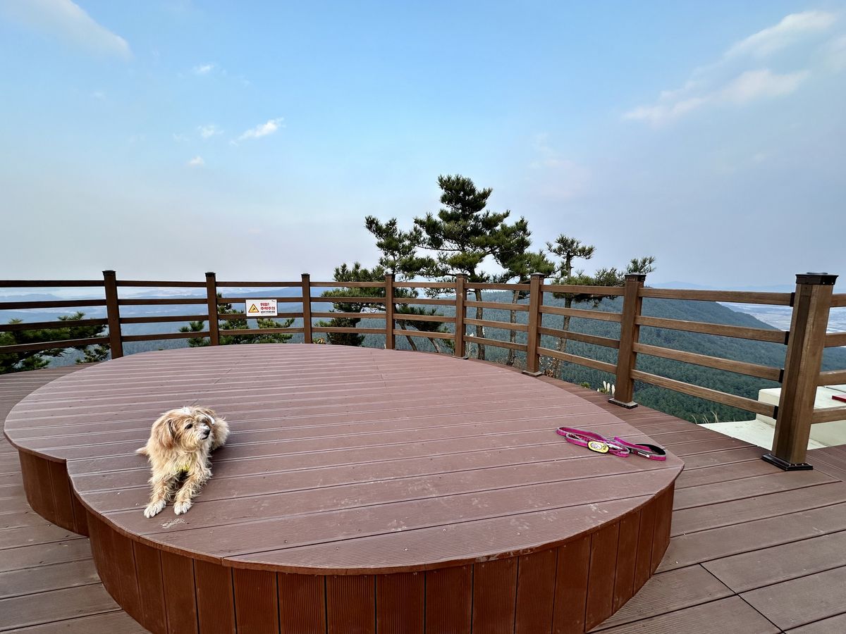 사진/ 신진주
