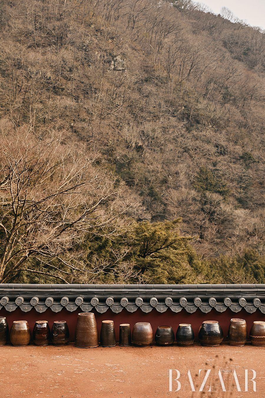 정관스님의 수행 공간인 백양사 천진암의 풍경.