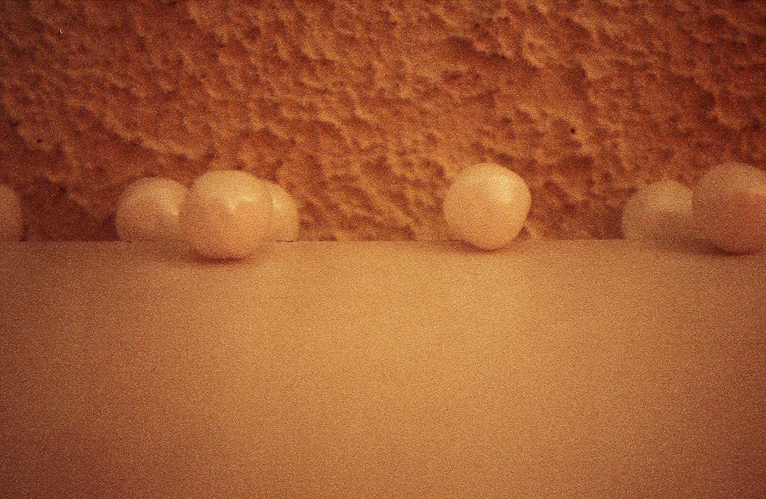 <Pullover’s Wardrobe>, 1996. Mothballs, dimensions variable. Installation view at private home studio, 16 Rue Etienne Marcel 75002, Paris, France. Courtesy the Artist. © KOO JEONG A