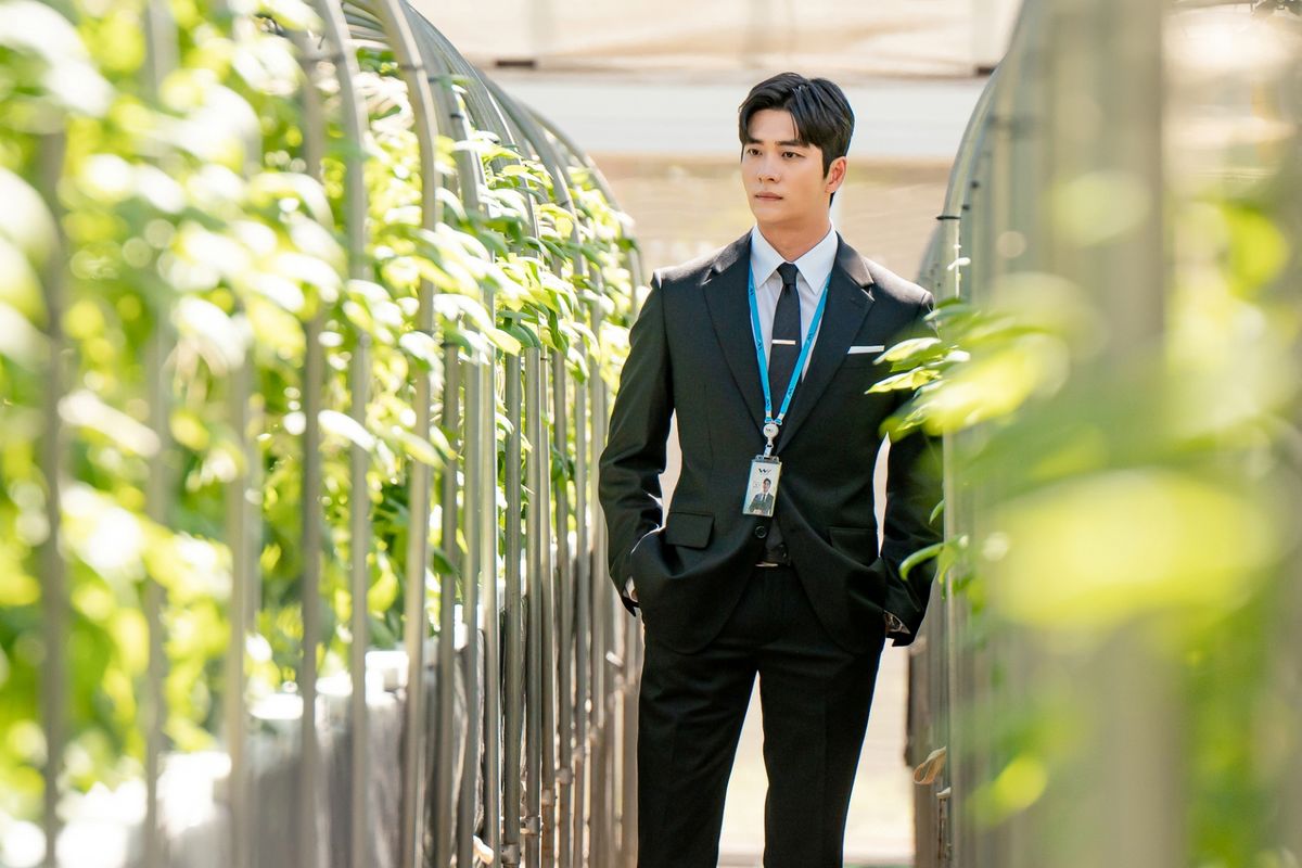 tvN 토일드라마 <감자연구소> 스틸