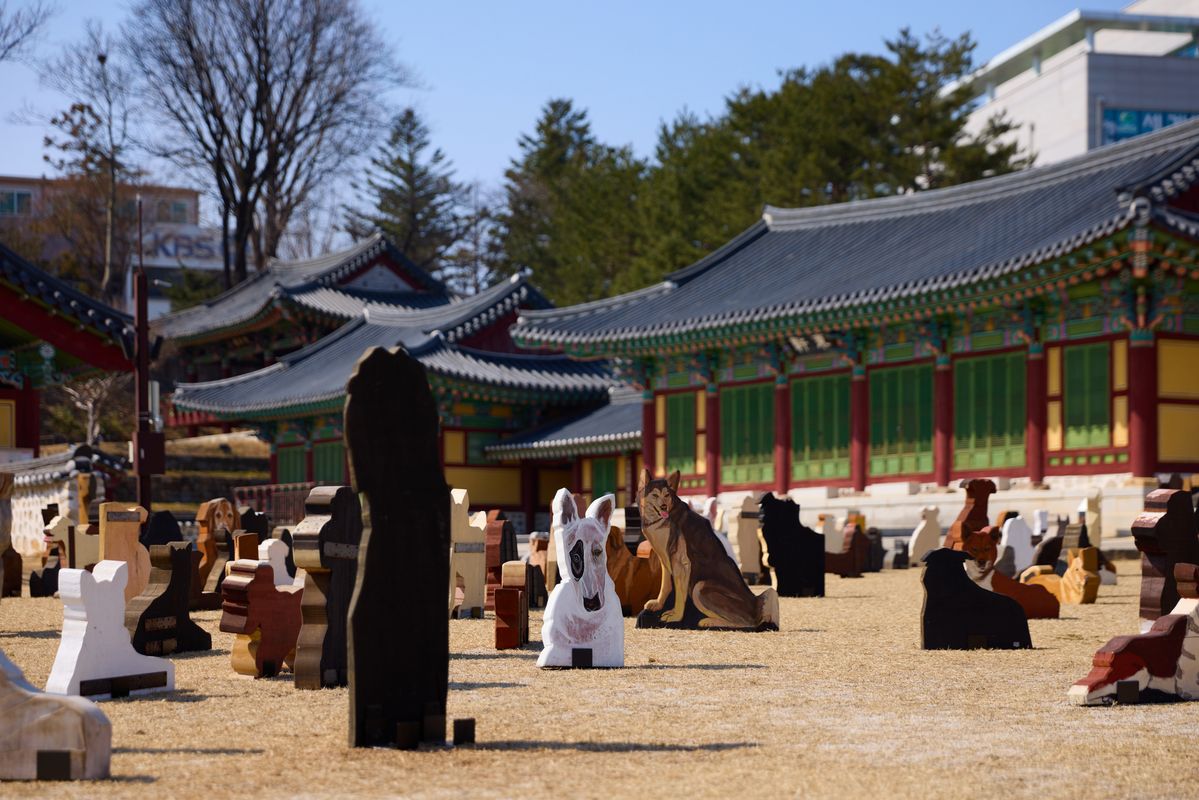 제3회 강릉국제아트페스티벌 강릉대도호부 관아 전시 전경. 윤석남, <1,025: 사람과 사람 없이>, 2003-2008, 2025, 나무에 아크릴릭, 가변 크기, 1,025개 중 367개.