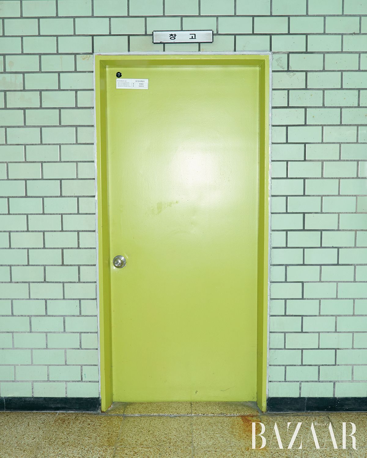 초록이라면 허용되는 2호선 역사 안. 민트와 연두의 어색한 만남.