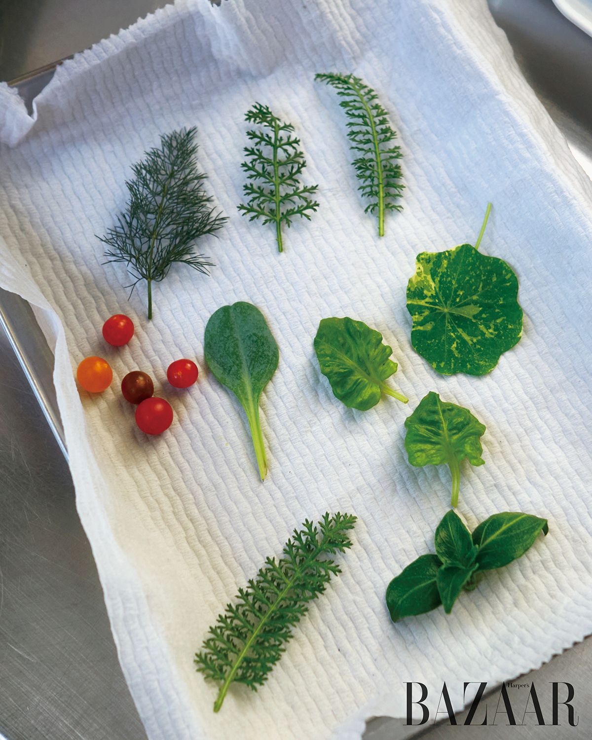 맵싸한 끝맛의 한련화, 굴 맛이 나는 오이스터리프, 버섯 맛이 나는 머쉬룸트리, 펜넬과 마이크로토마토. ‘더 그린테이블’의 전채 요리 ‘여름정원’에 오를 농장 채소.