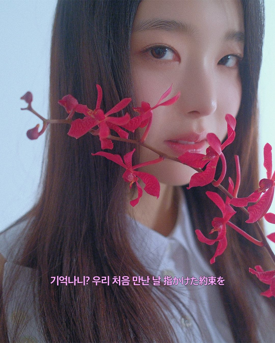 디하나(de_hana)