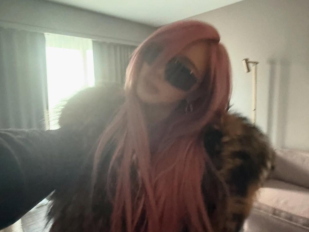 @aerichandesu