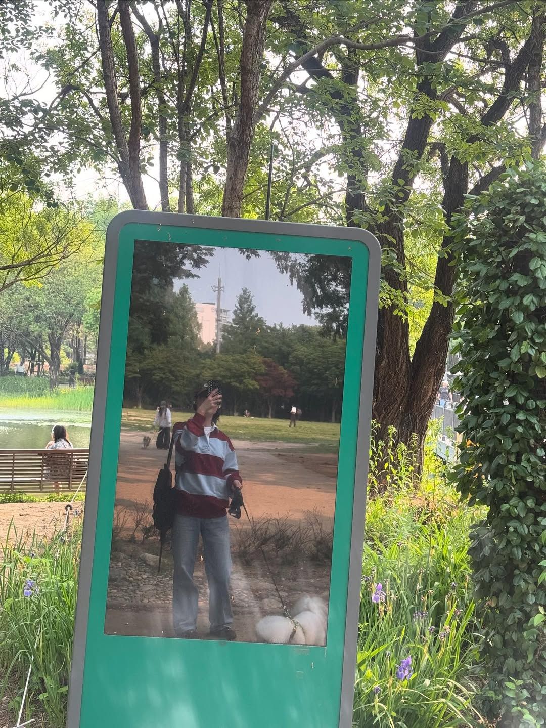 사진/@ j_chaeyeoni