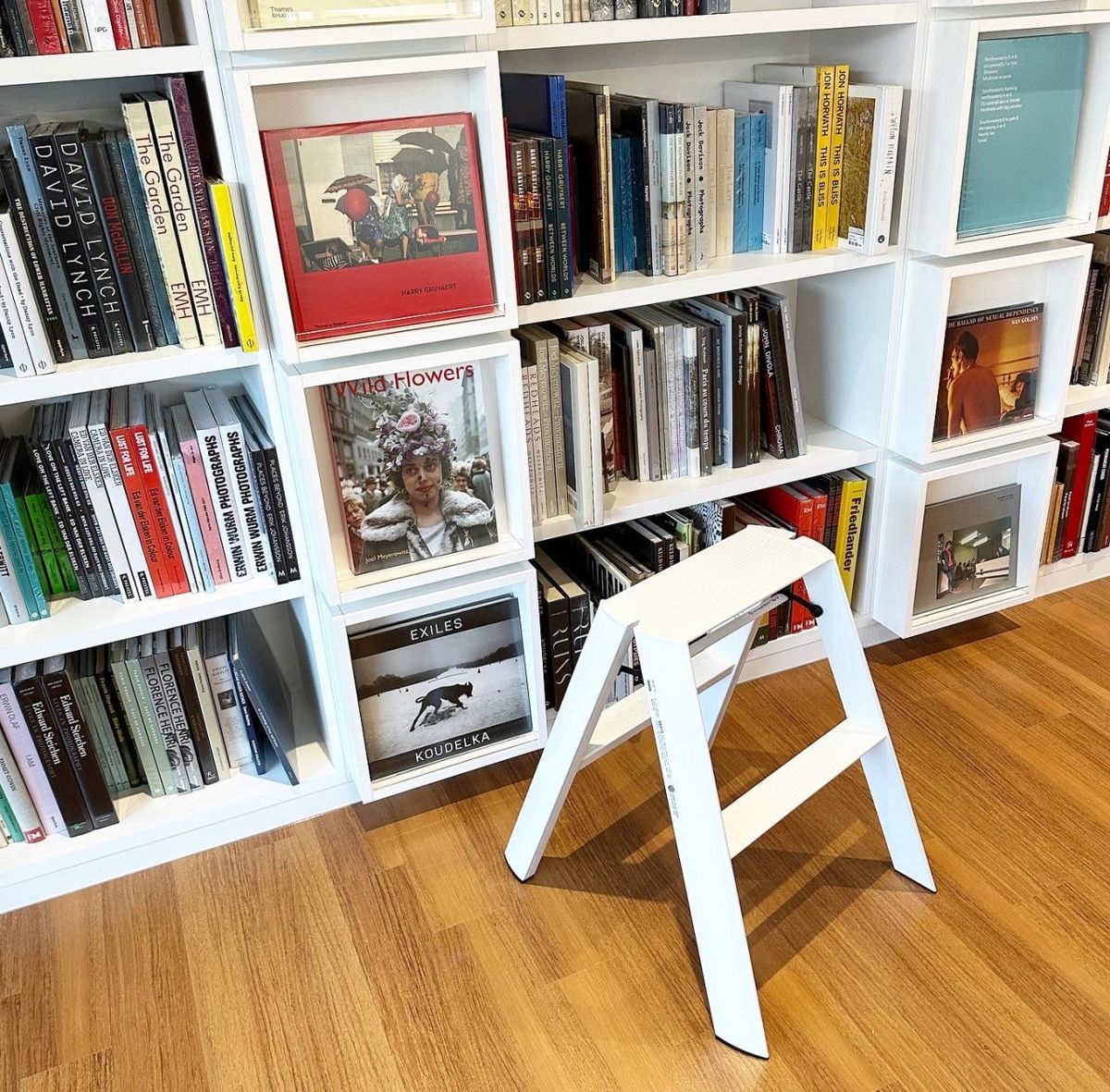 사진/ 업체 제공