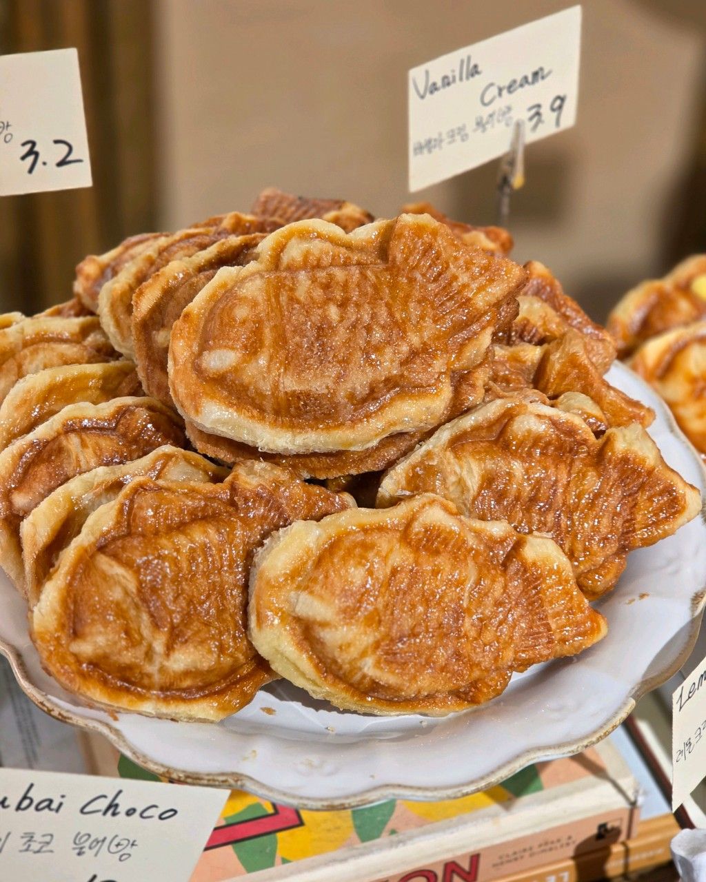 사진/ 에디터 제공