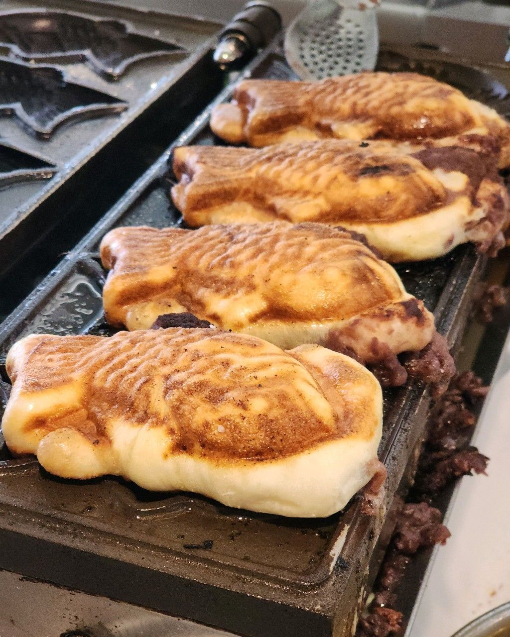 사진/ 에디터 제공