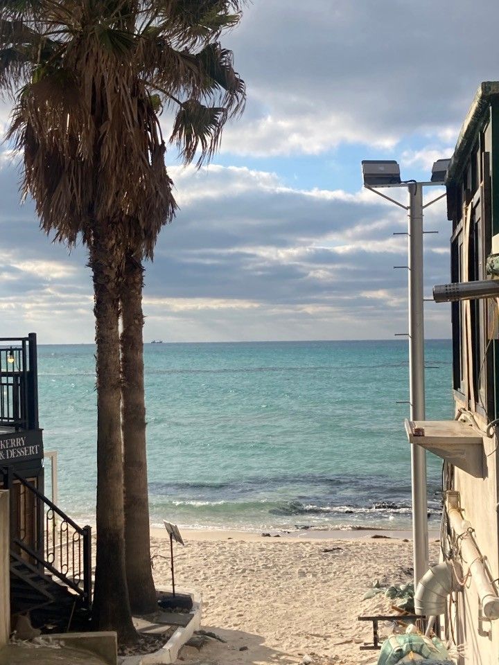 사진/ 스몰홀더