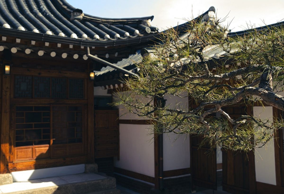 사진/ 업체 제공