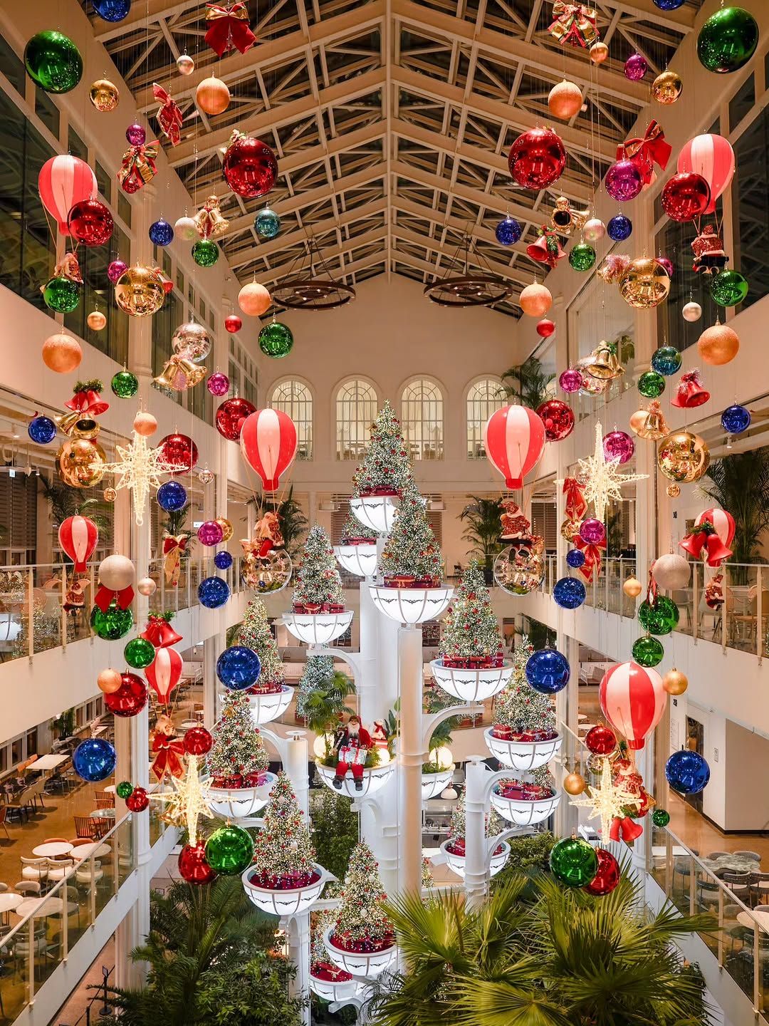 @forestoutings_youngin