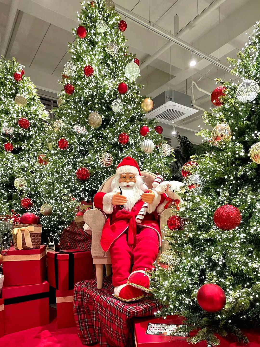 @forestoutings_youngin