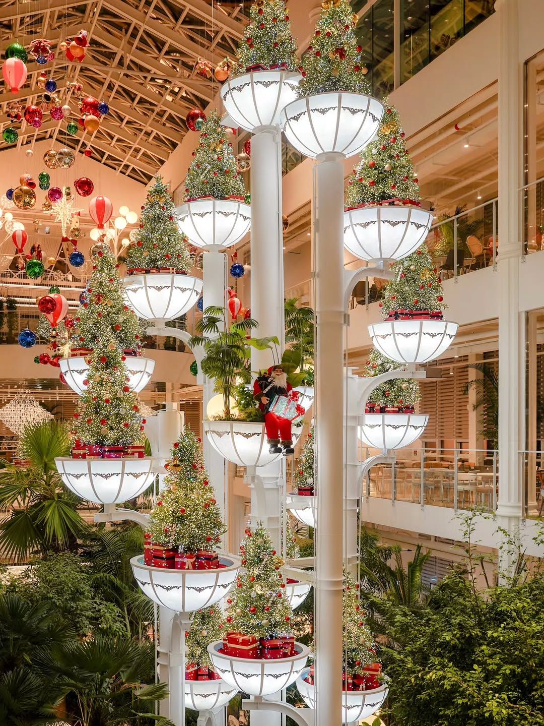 @forestoutings_youngin