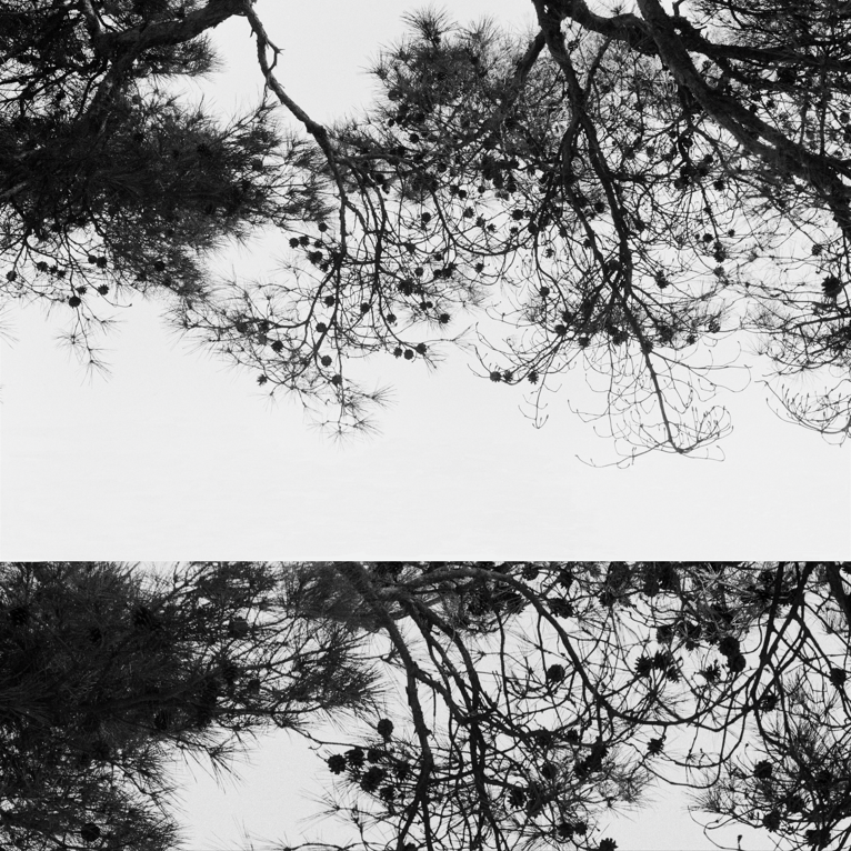 서용선, 전傳-3, 1980(2025 재인화), 디지털 프린트, 40x40cm