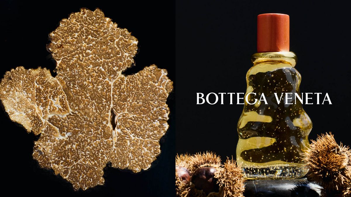 BOTTEGA VENETA