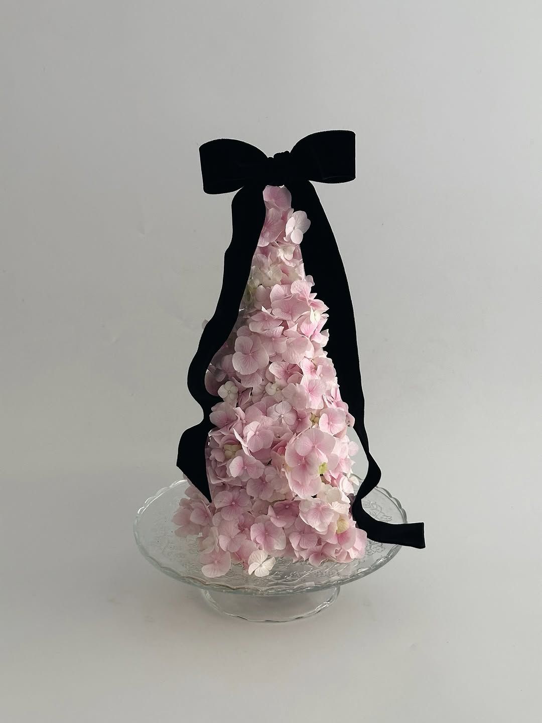 사진/ @kiimyoungshiin 