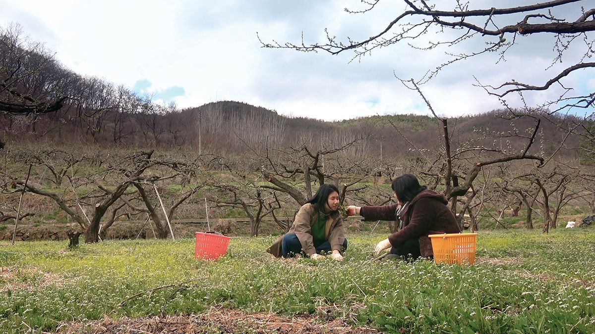 다큐멘터리 영화 <다섯 번째 방> 속 한 장면. 들꽃이 흐드러진 밭에서 모녀가 함께 냉이를 캐는 모습이다.