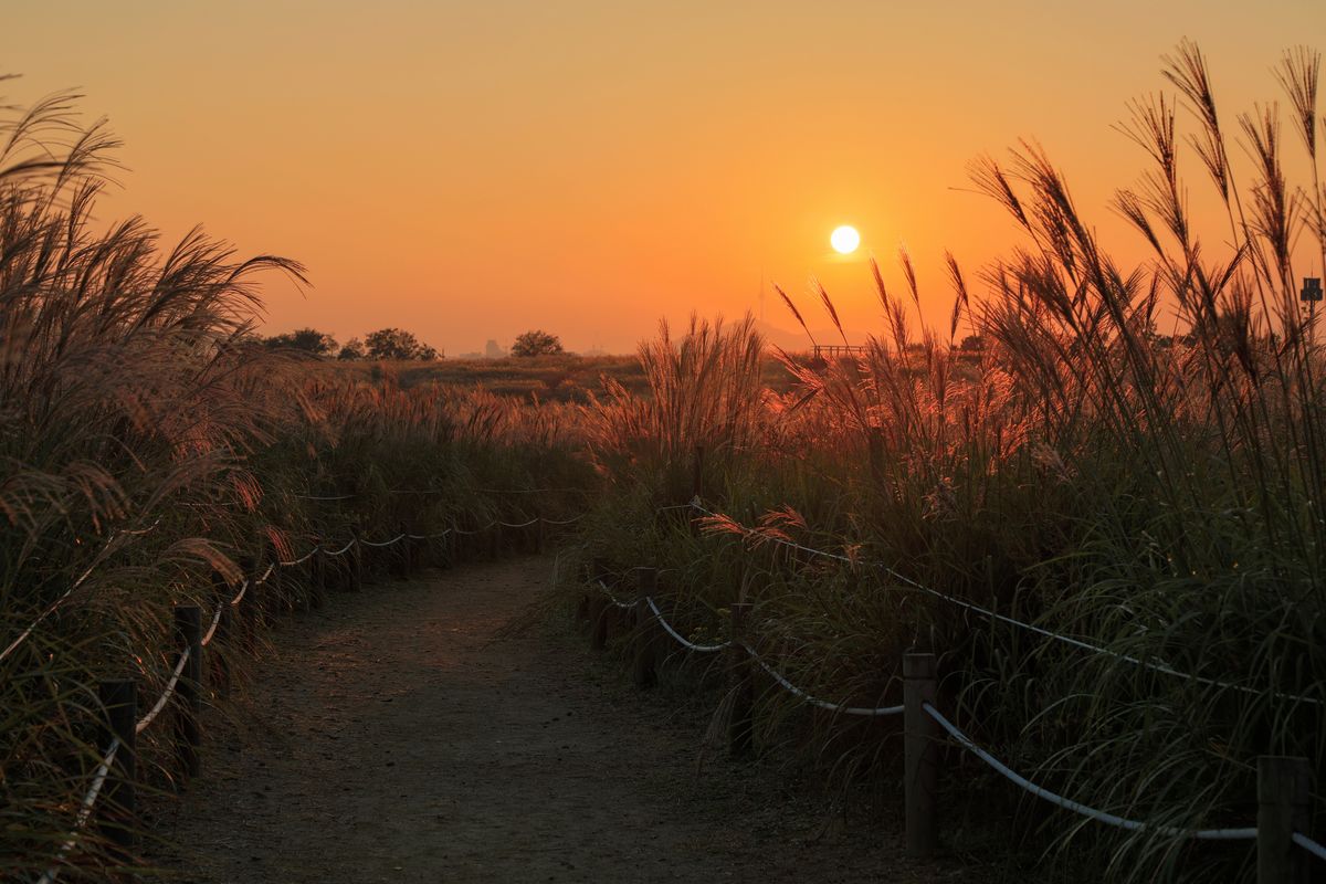 마포 하늘 공원 / 게티이미지