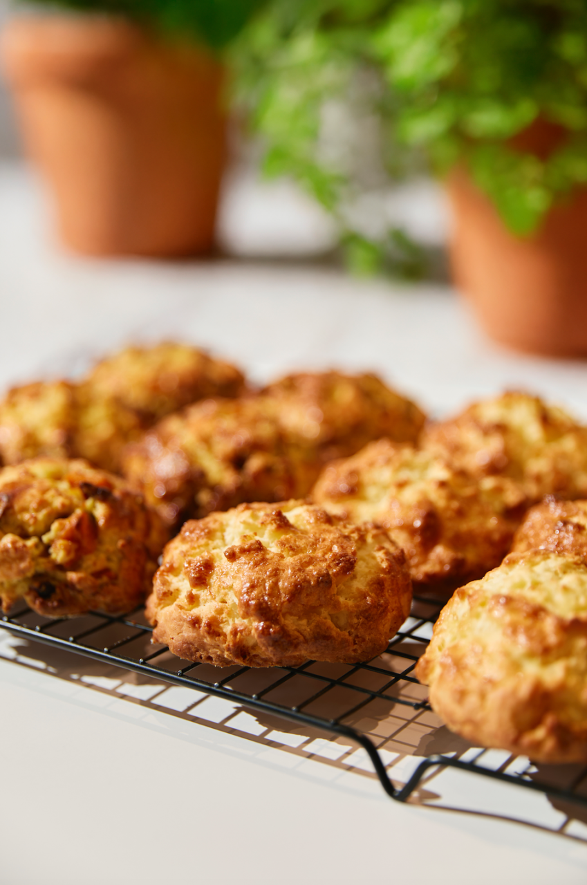 사진/ 업체 제공