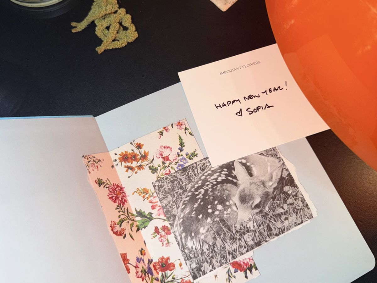 사진/ 구매에 성공한 막내 에디터