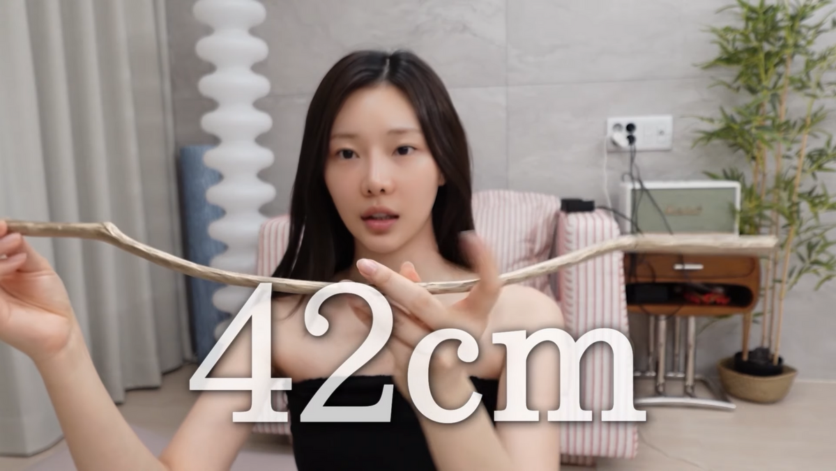 사진/ 유튜브 최종시안 캡처