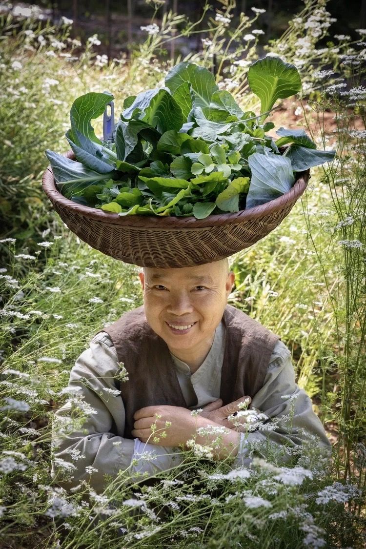 정관스님 / 한국문화원 제공