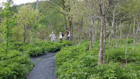 망경산사 / 망경산사 제공