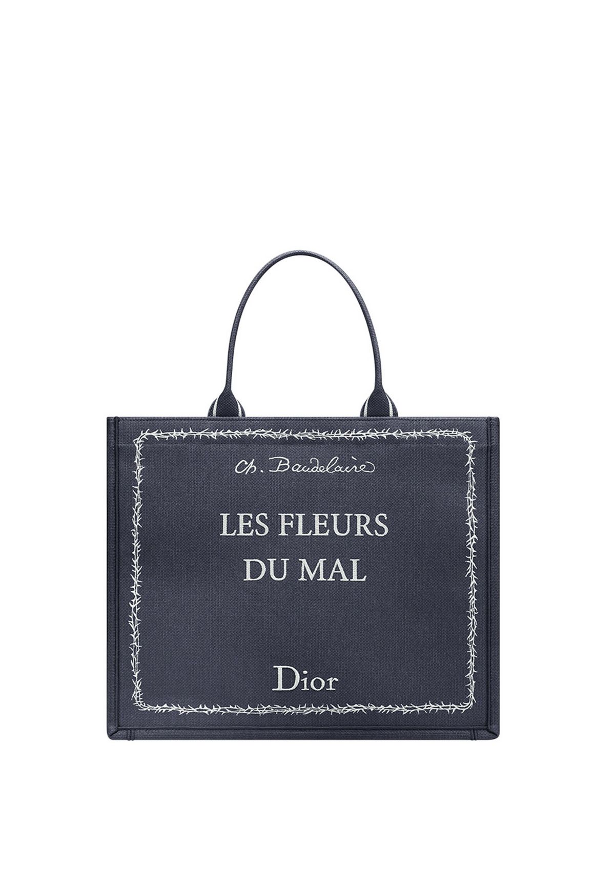 Dior 북 토트 라지 백 4백80만원