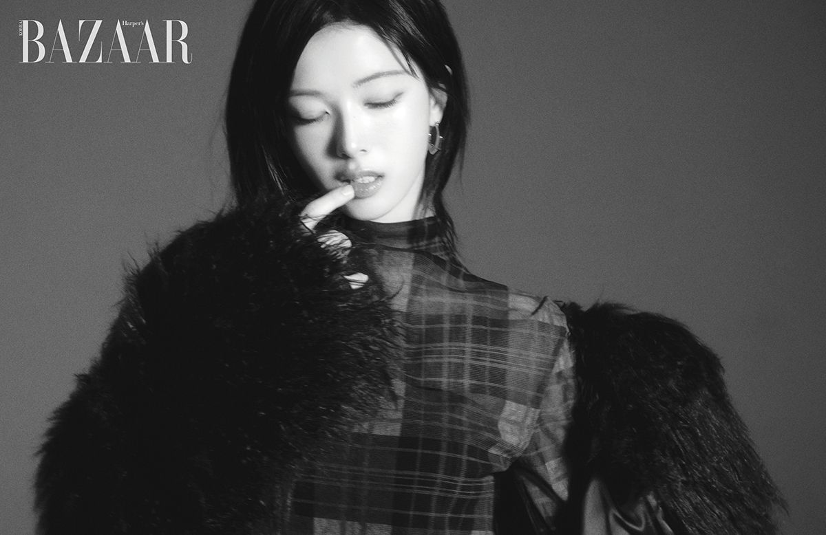 이미지 캡션 영역