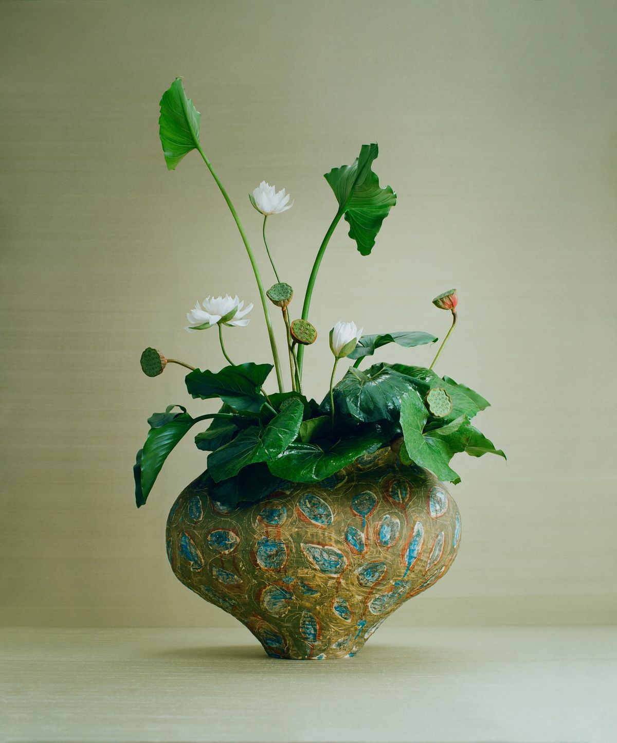 Photo / © Kazunori Hamana © Ben Pexton