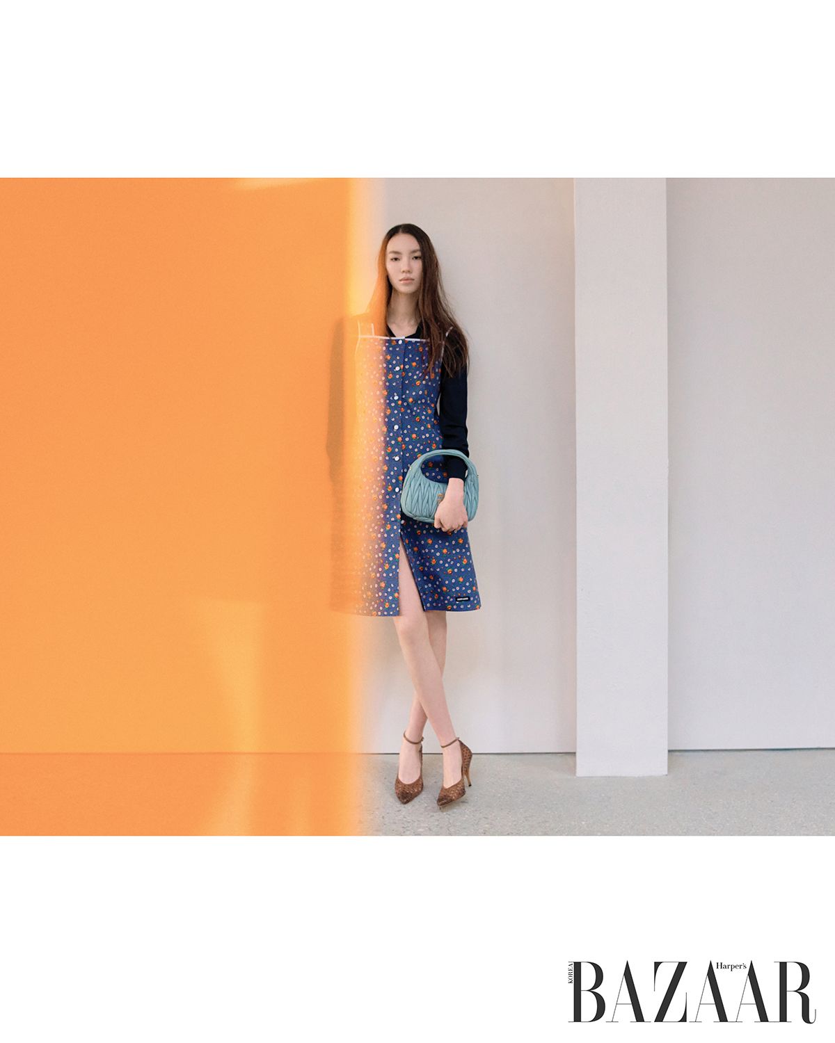 이미지 캡션 영역