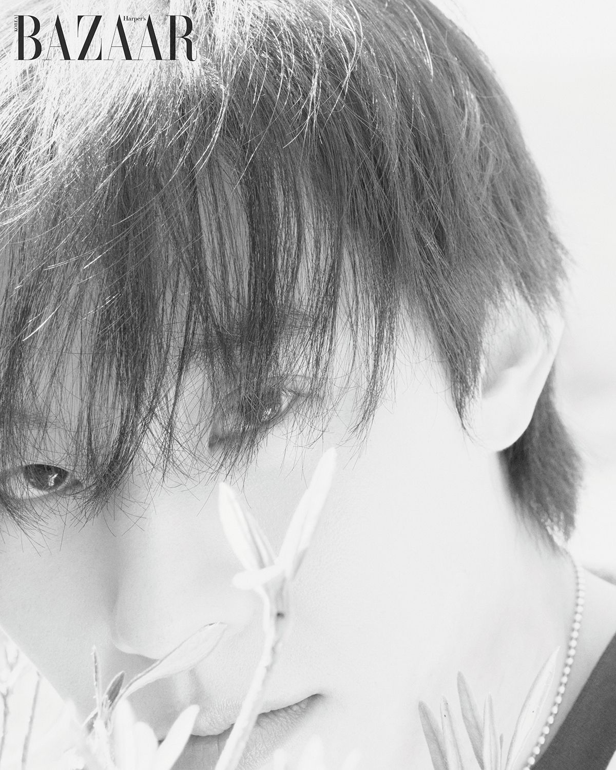 이미지 캡션 영역