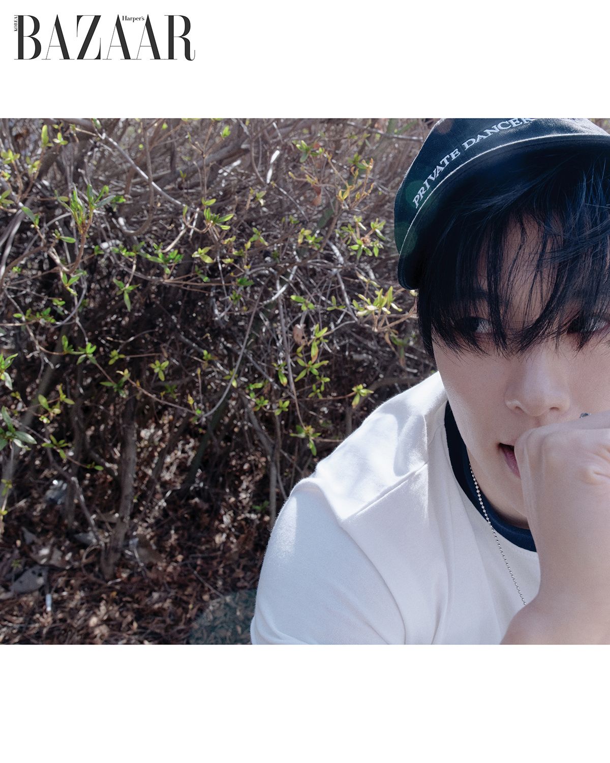 이미지 캡션 영역