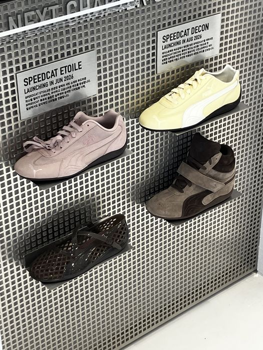 스피드캣 웻지도 먼저 만나볼 수 있다