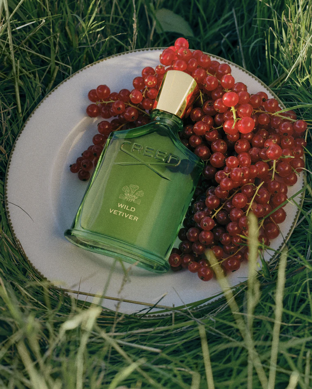 크리드 와일드 베티베 50ml, 43만원.