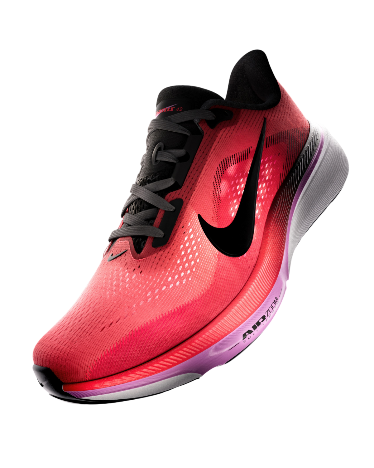 나이키 페가수스 42