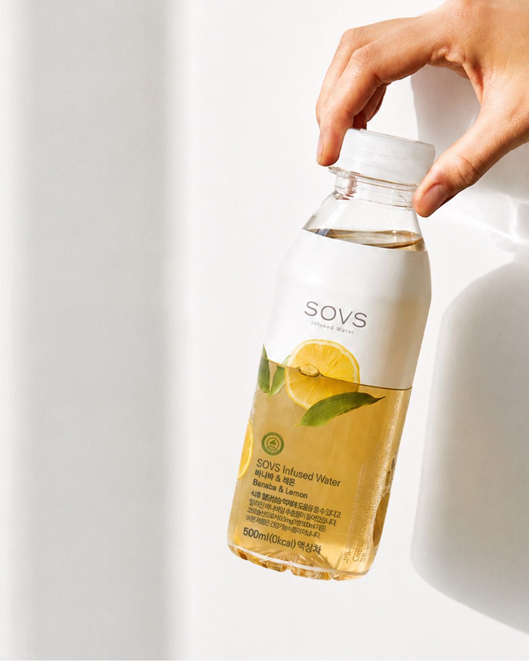 사진/ SOVS 공식 홈페이지