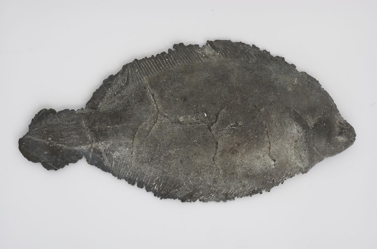 Katinka Bock, L-lemon sole, 2018, bronze, 38 x 18.5 x 3 cm