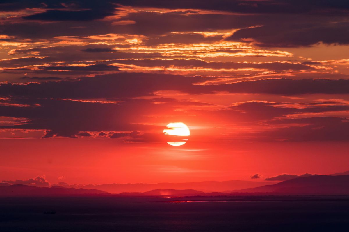 사진/ Unsplash