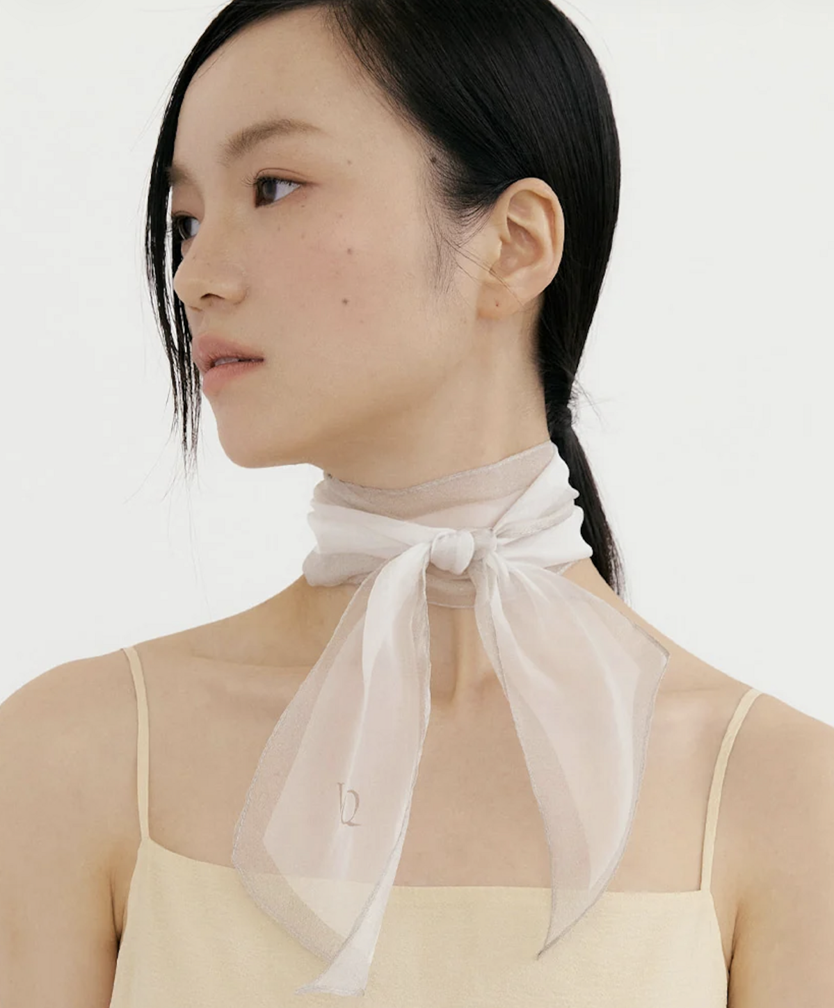 Silk Organza Aura Scarf