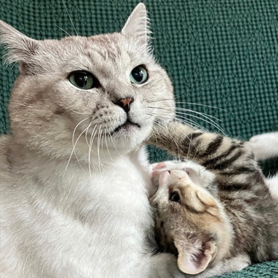 출처 : 러쉬 제공