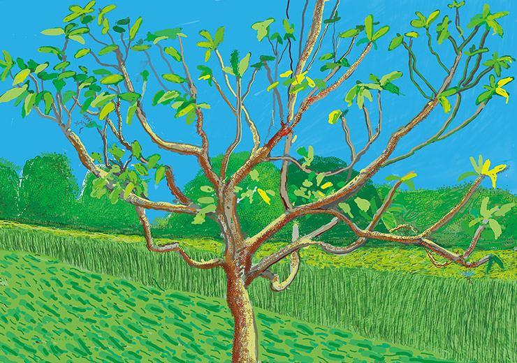 David Hockney, <No. 1, 22nd May 2020>, iPad painting ⓒ David Hockney