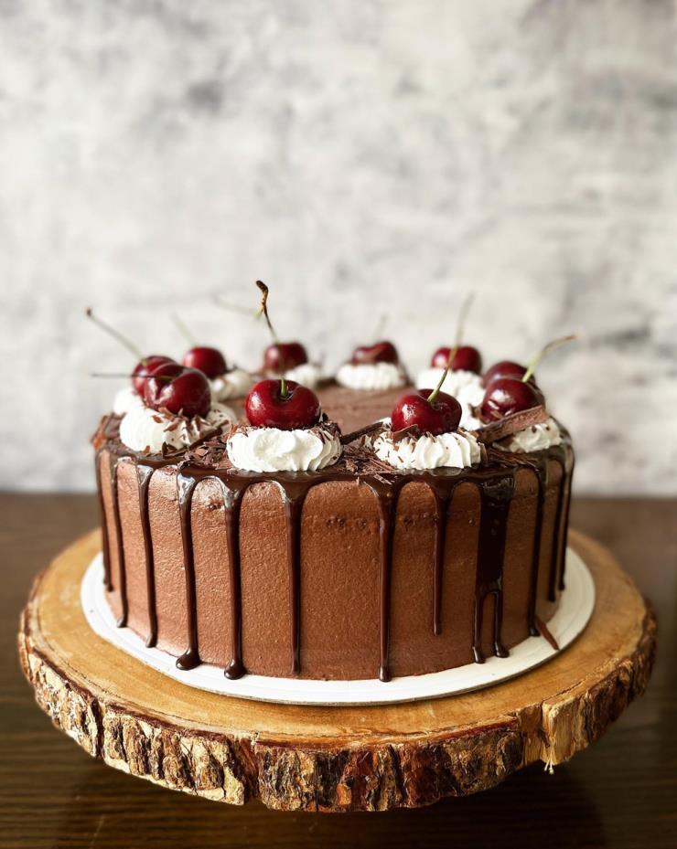 사진 플랜트 인스타그램 @plantcafeseoul