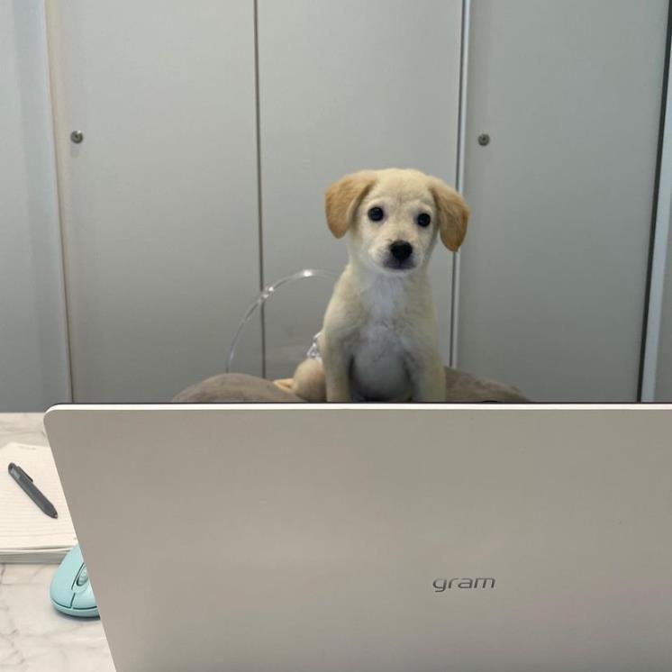 출처 : 테드 인스타그램 (@dear_tedtheteddy) 캡처