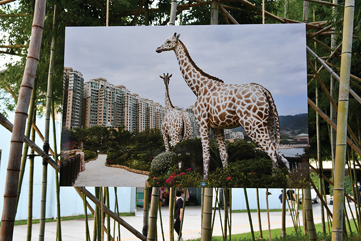 사진/ 부산국제사진제 제공