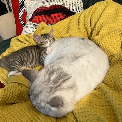 출처 : 러쉬 제공