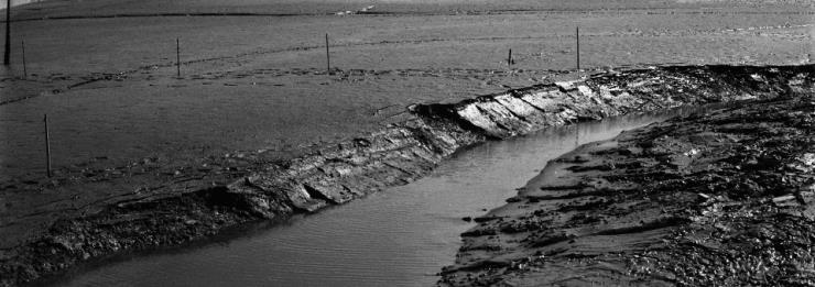  전라남도 신안 갯벌 (사진 Kisung Kim - flickr) / 뉴스펭귄 