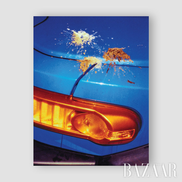 <Shit Blossom on a Car, Seoul>, 2013. 청담동 16-9번지 근처에 늘 세워져 있던 도요타 FJ 크루저 위의 꽃 같았던 섹시한 똥.